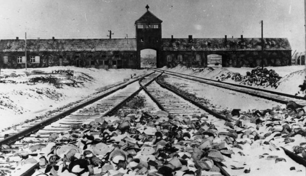 Deutsche Kriegsverbrechen werden offenbar – Hitler begeht Selbstmord